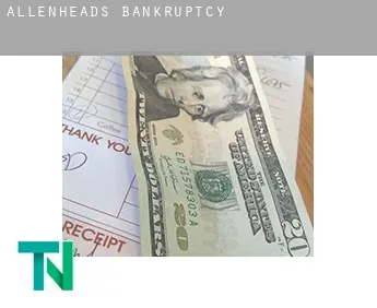 Allenheads  bankruptcy