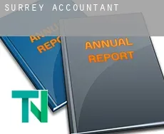 Surrey  accountants