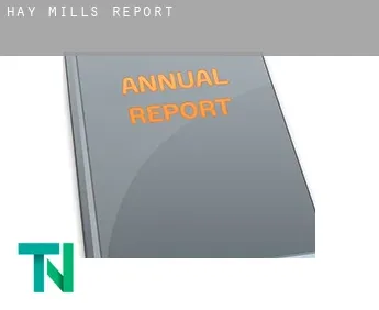 Hay Mills  report