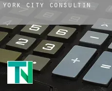 York City  consulting