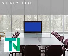 Surrey  taxes