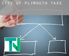 City of Plymouth  taxes