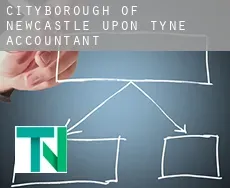 Newcastle upon Tyne (City and Borough)  accountants