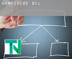 Hampshire  bill
