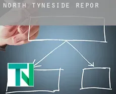 North Tyneside  report