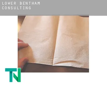 Lower Bentham  consulting
