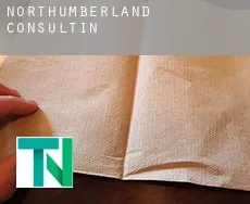 Northumberland  consulting