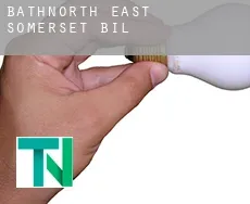Bath and North East Somerset  bill