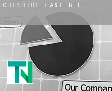 Cheshire East  bill
