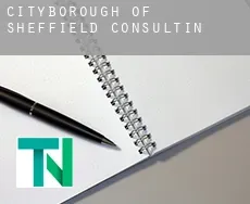 Sheffield (City and Borough)  consulting