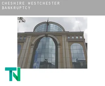 Cheshire West and Chester  bankruptcy