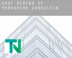 East Riding of Yorkshire  consulting