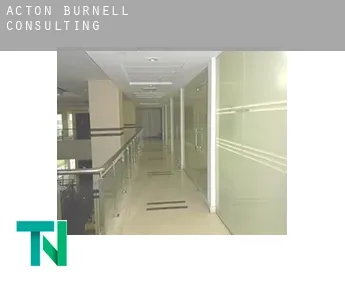 Acton Burnell  consulting
