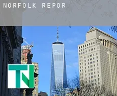 Norfolk  report