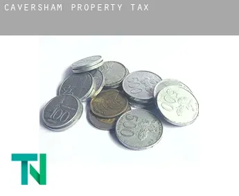 Caversham  property tax