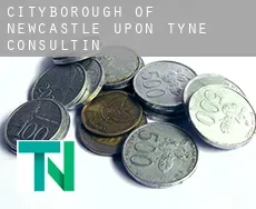 Newcastle upon Tyne (City and Borough)  consulting