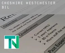 Cheshire West and Chester  bill