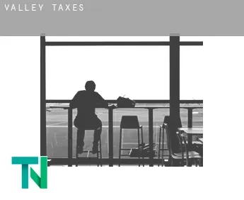Valley  taxes