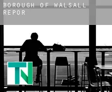 Walsall (Borough)  report