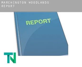 Marchington Woodlands  report