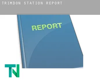 Trimdon Station  report